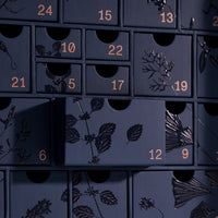 TEAM DR JOSEPH ADVENTSKALENDER 2025