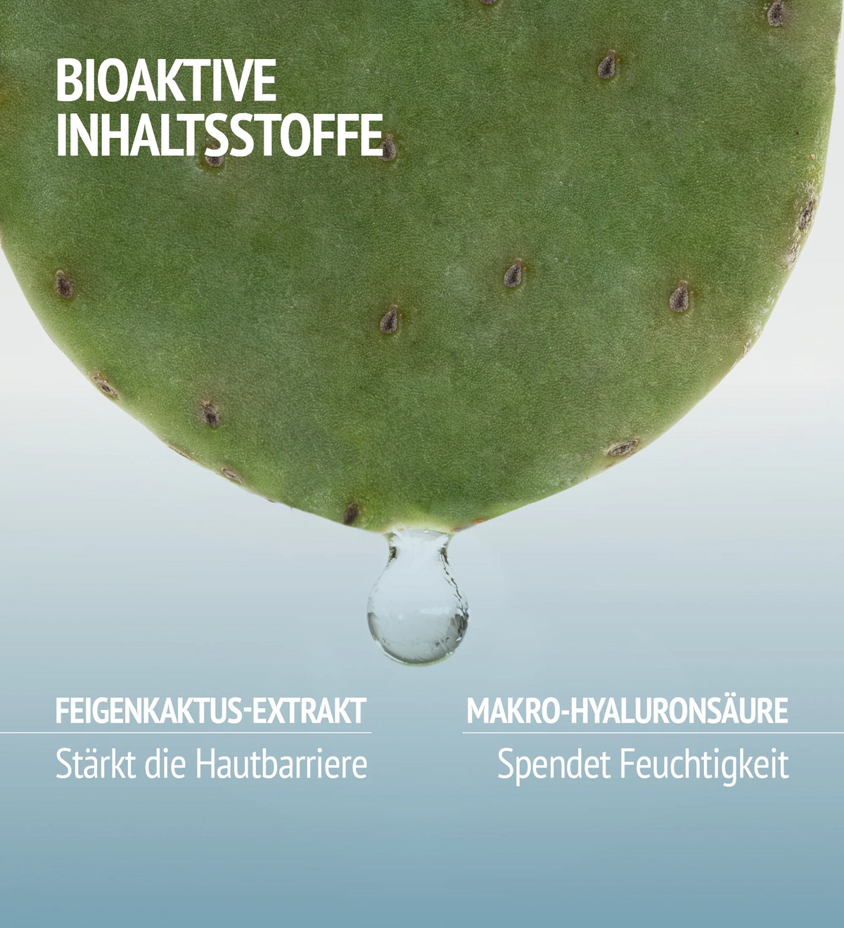 Comfort Zone HYDRAMEMORY WATER SOURCE SERUM