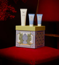 Comfort Zone YOUNG KIT