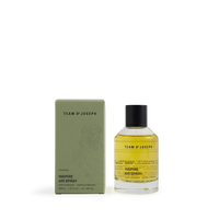 TEAM DR. JOSEPH FRANGRANCE INSPIRE AIR SPRAY